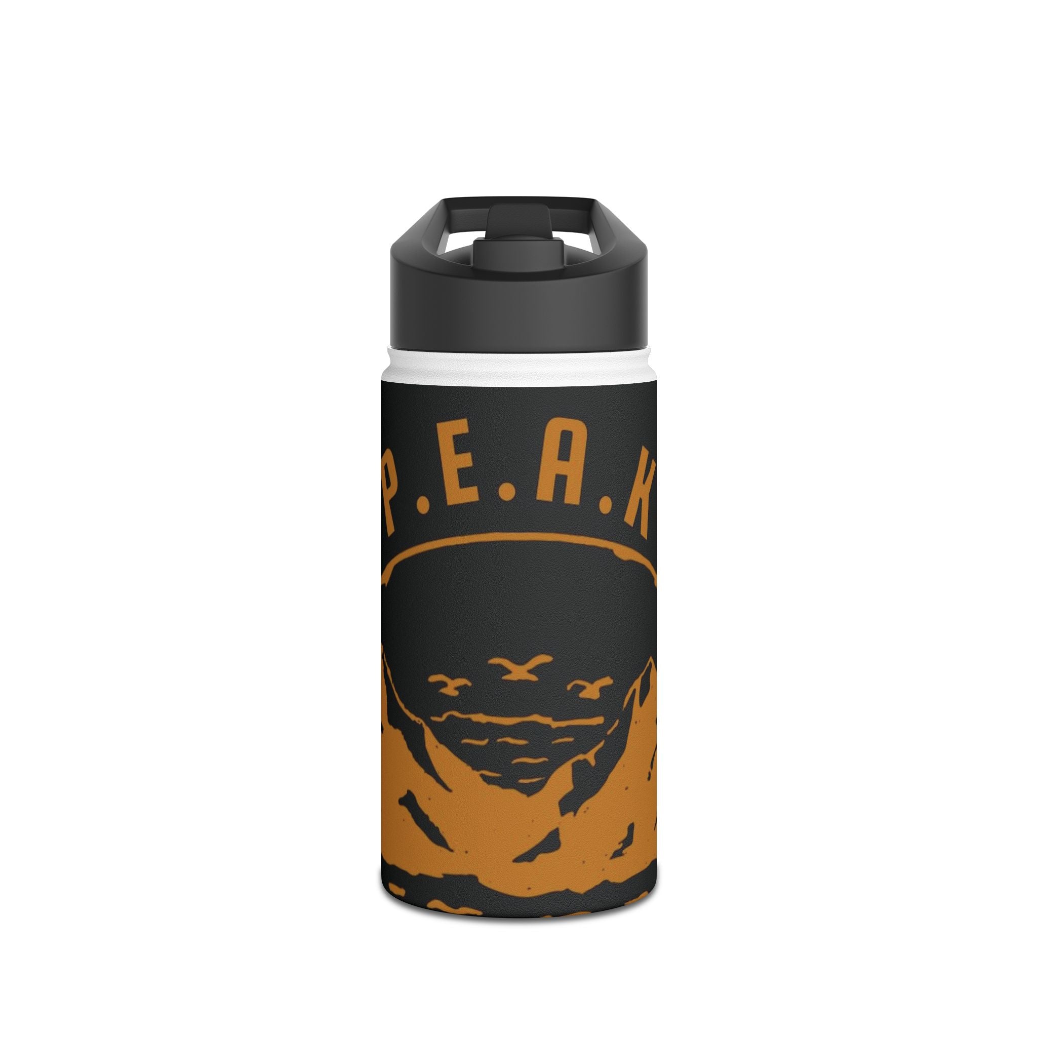 Stainless Steel Water Bottle, Standard Lid